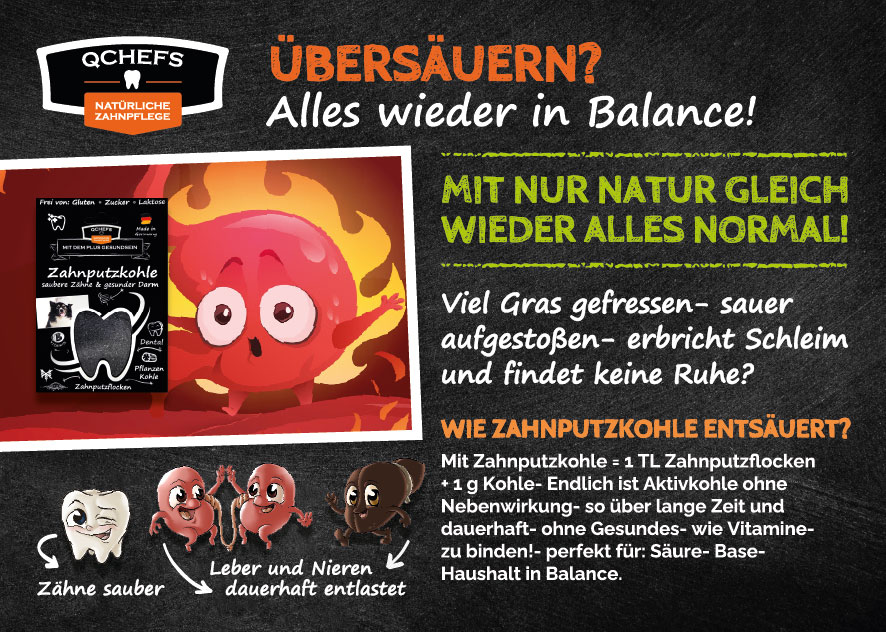[QCM1USF241DE] Übersäuerungs Flyer (ca. 50 Stück/VE)