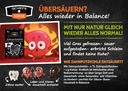 Übersäuerungs Flyer (ca. 50 Stück/VE)